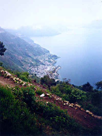 SCENE.jpg (95795 bytes)
